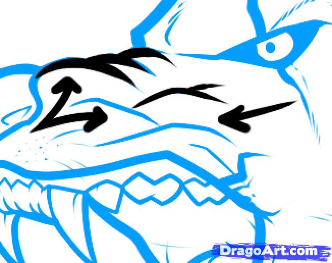 652x516 Draw An Angry Wolf, Angry Wolf, Step