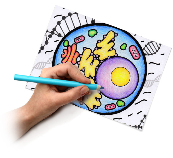 608x555 Quiver Education