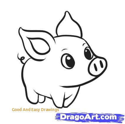 424x422 Anime Animal Drawing Easy Anime Collection