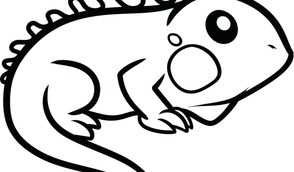 1024x600 Easy Animal Drawing For Kids The Images Collection Of Easy Animal