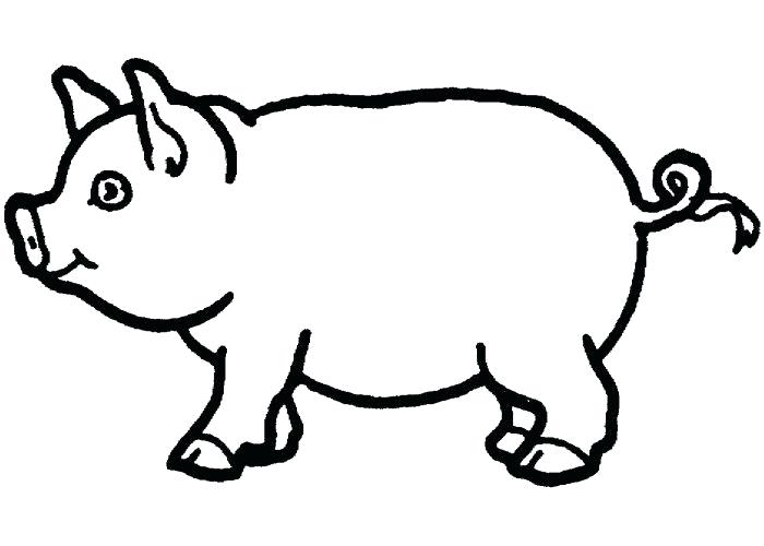 700x500 Pig Drawing For Kids Pig Template Animal Templates Free Premium