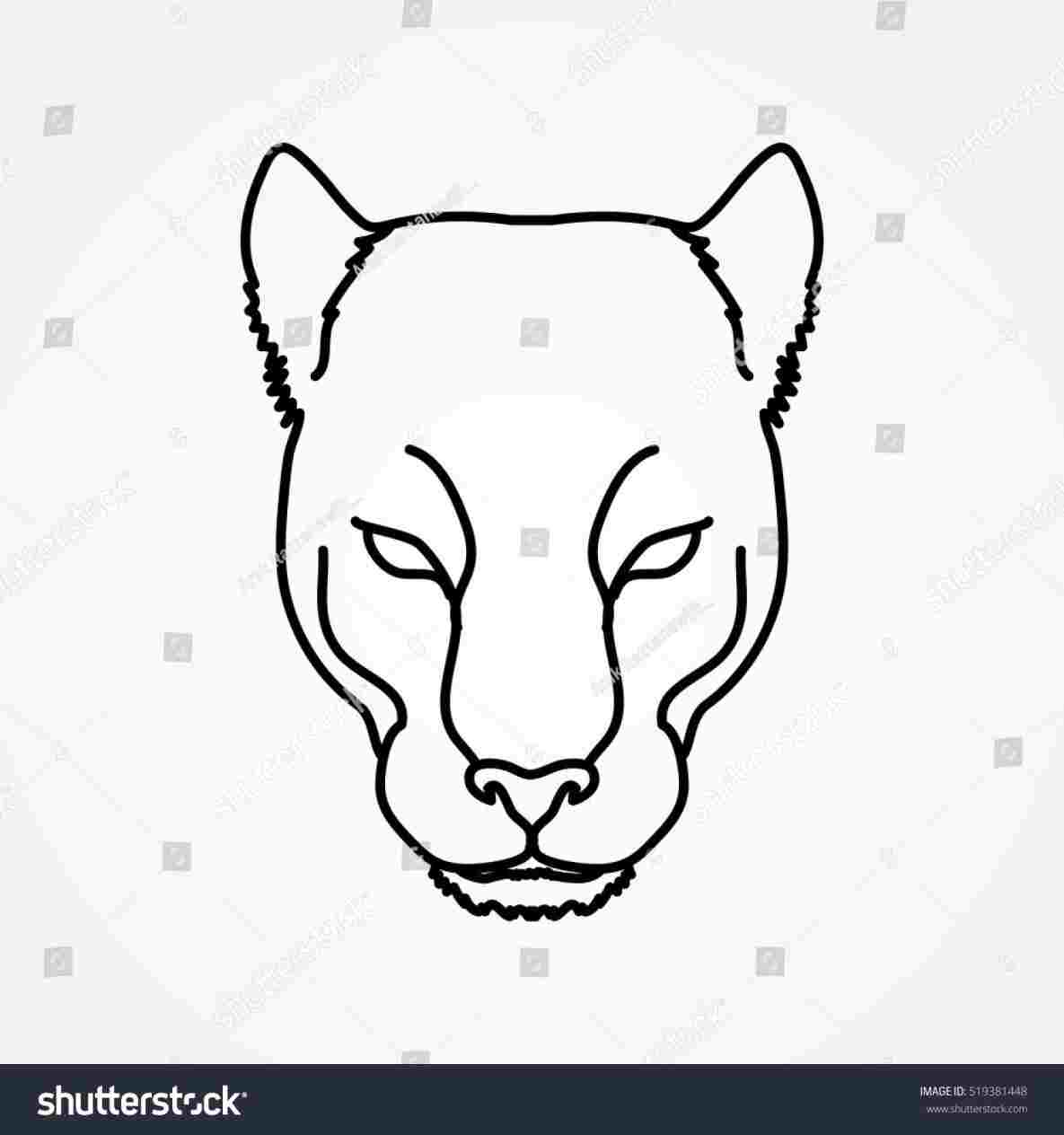 1185x1264 How To Draw A Black Panther Animal