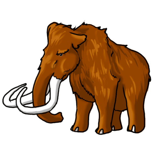 600x600 Drawing Elephants Realistic Transparent Png Clipart Free