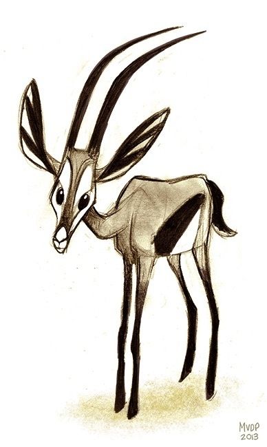 388x650 Gazelle Sketch