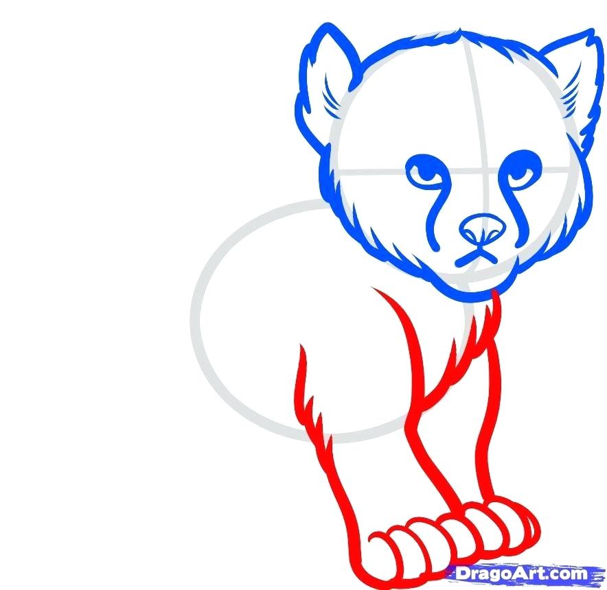 884x860 Baby Leopard Drawing Pencil Drawings Of Animals Wild Animals