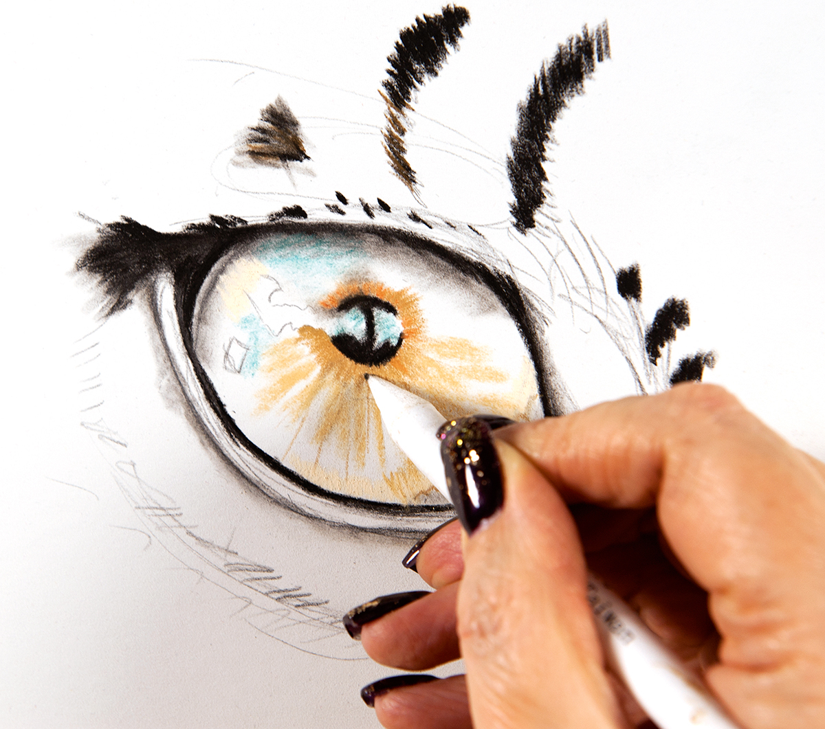 1200x1061 How To Illustrate Animal Eyes