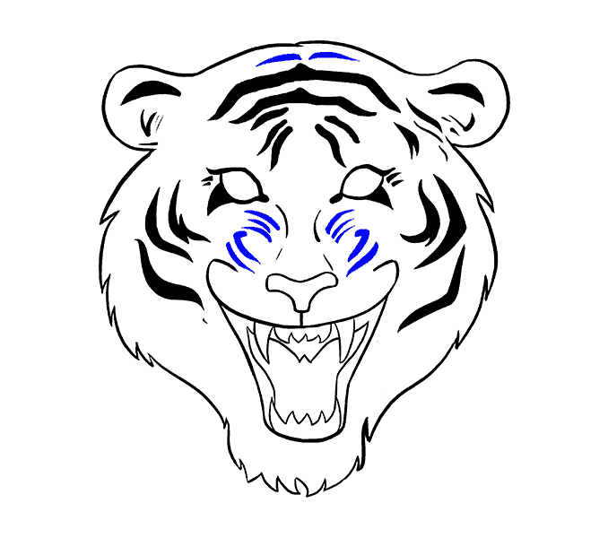 678x600 How To Draw A Tiger Face In A Few Easy Steps Easy Drawing Guides