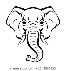 260x280 Huge Collection Of 'elephant Face Drawing' Download More Than