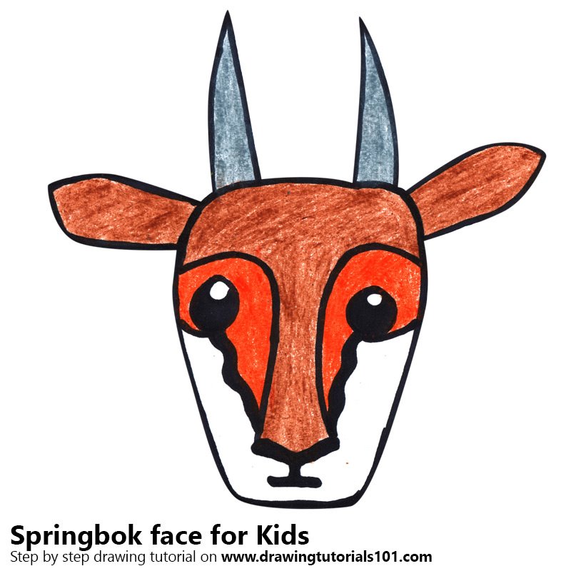 800x800 Learn How To Draw A Springbok Face For Kids
