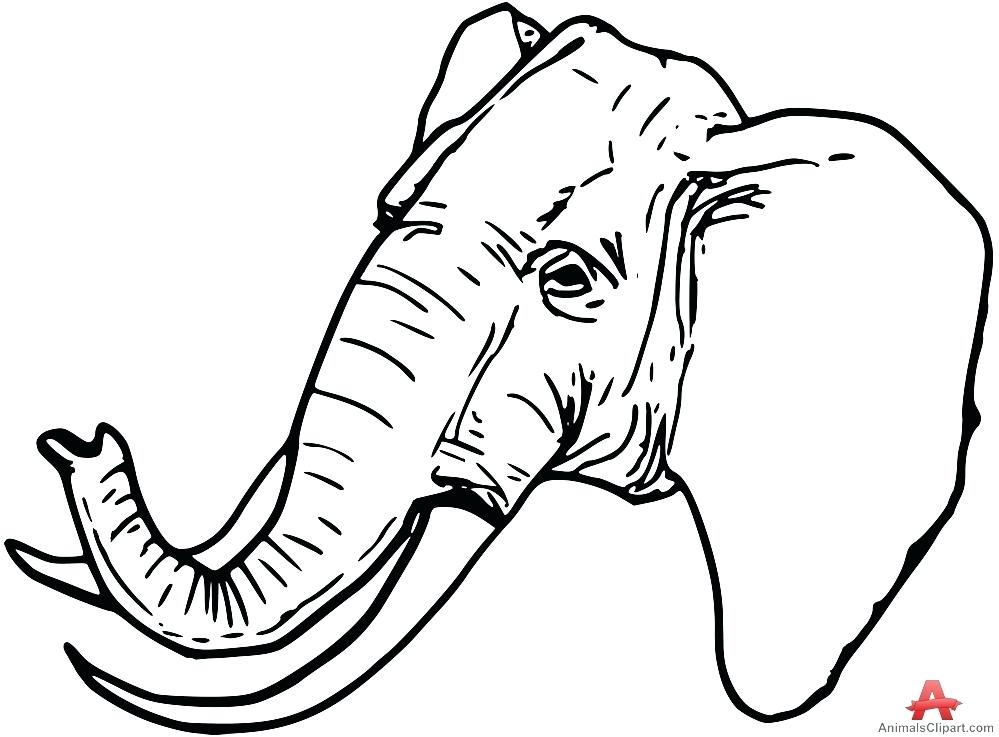 999x737 Outline Of Elephant Animal Template Elephant Outline Drawing
