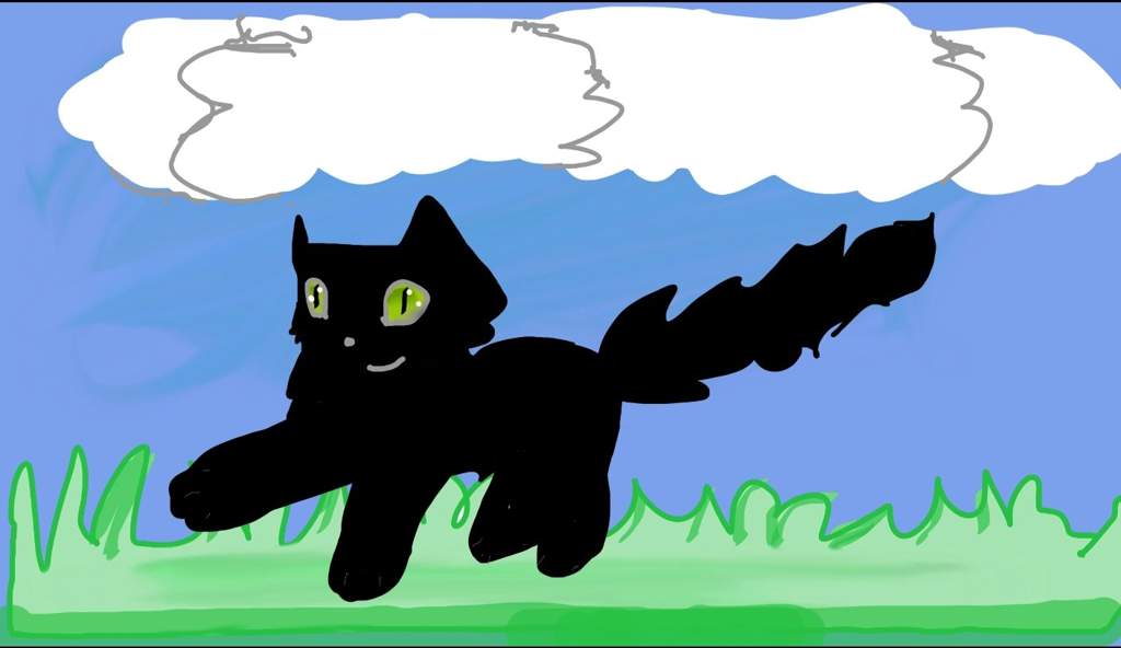 1024x592 Cat Drawing Amino