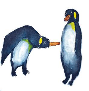 295x300 Animal Kingdom Card Series Endeavour Q Art Qart Gallery