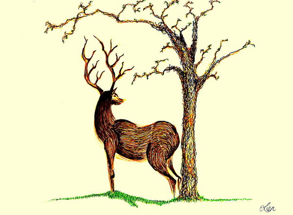 600x441 Animal Kingdom Drawings