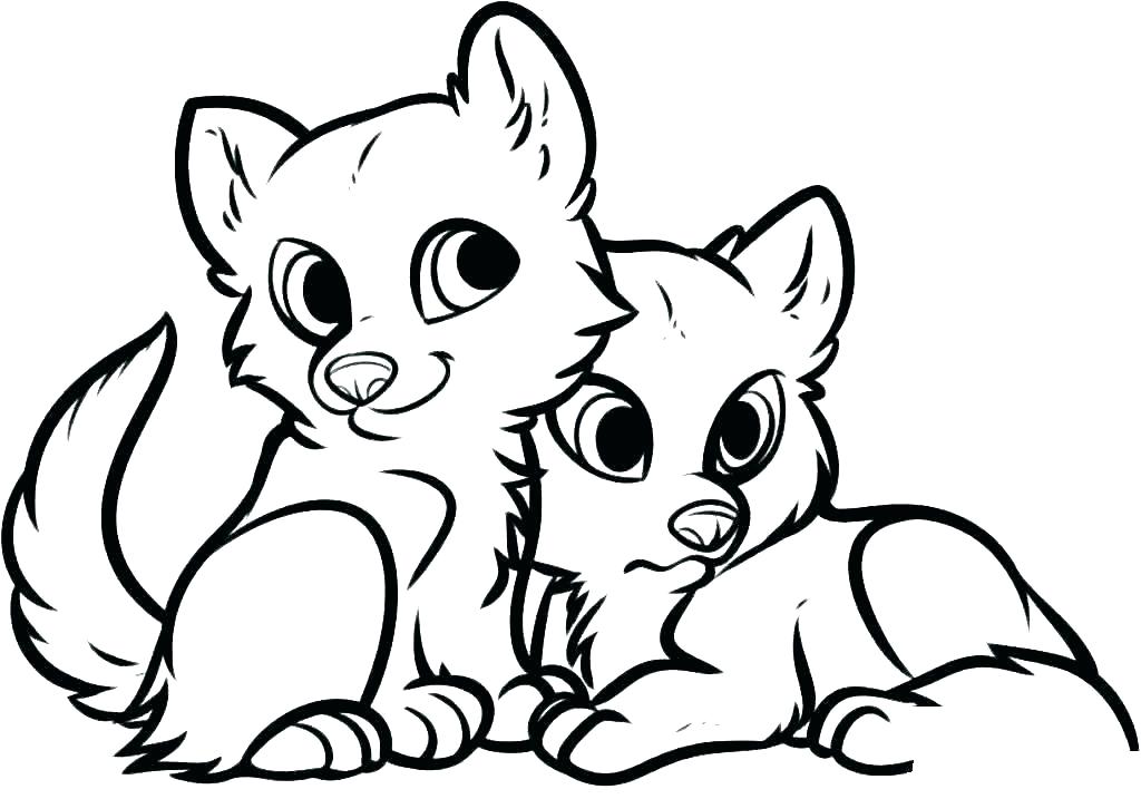 1024x717 Wild Animals Drawing Pictures Draw Your Favourite Wild Animal