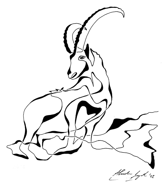 522x595 One Line Animals On Behance