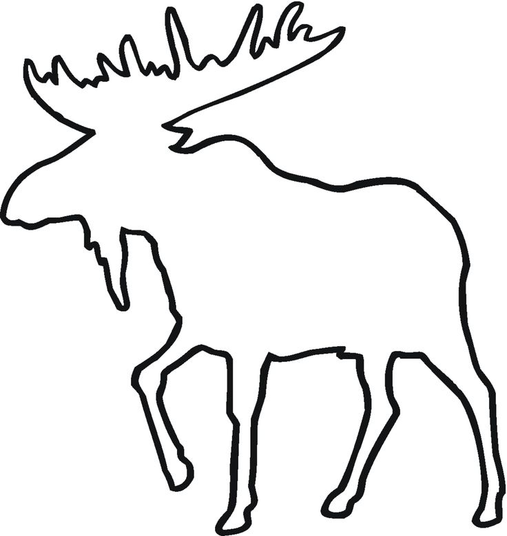 736x779 Deer Line Drawing Clipart