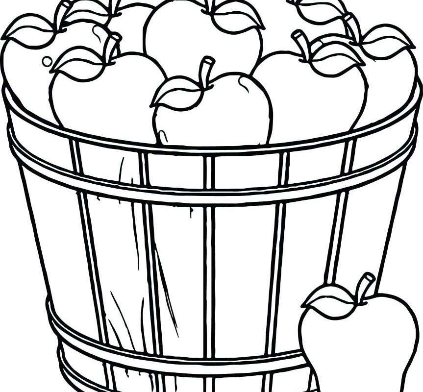 863x800 Food Basket Drawing At Getdrawings Com Free For Personal Use Apple