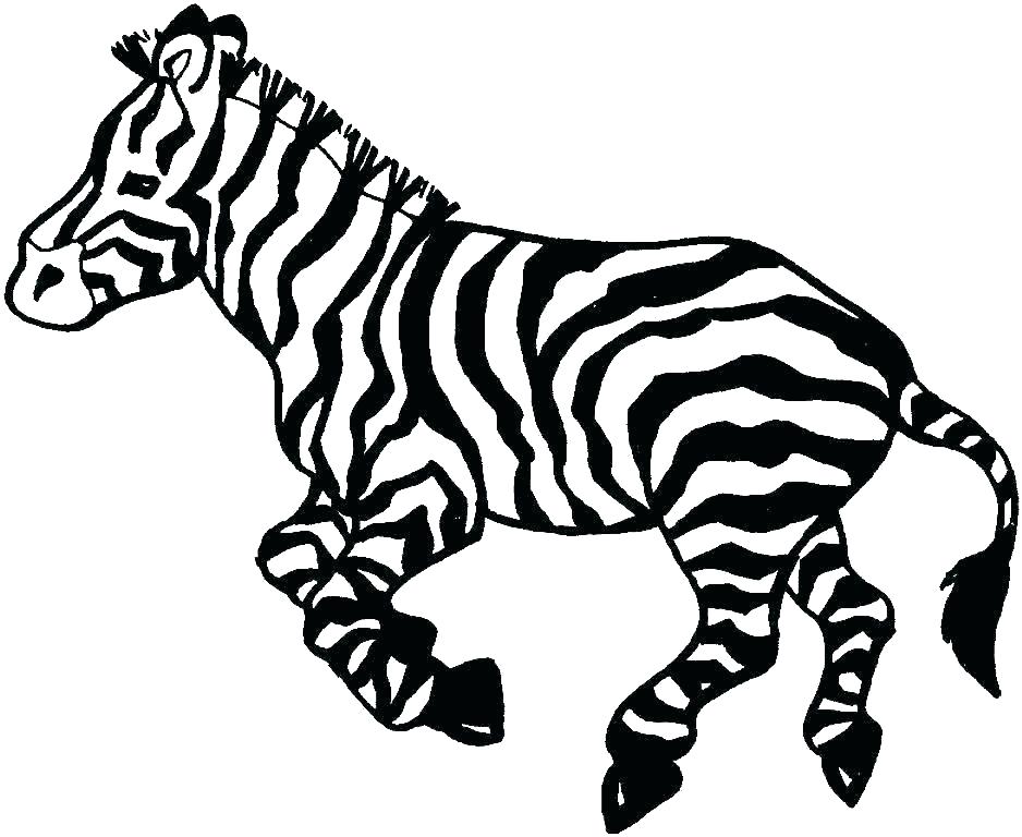 938x768 zebra pictures to print zebra print coloring pages zebra coloring
