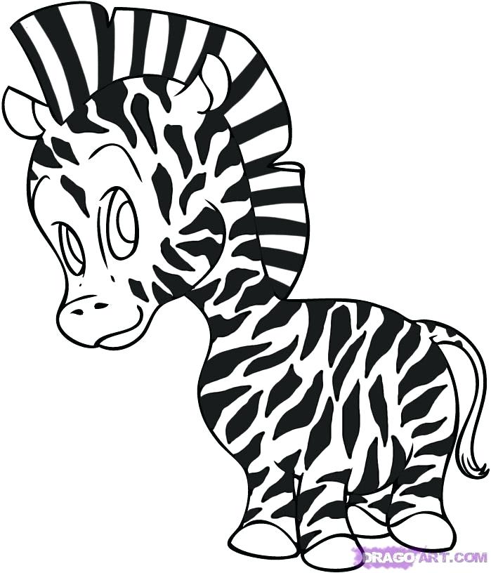 699x816 How To Draw A Simple Zebra