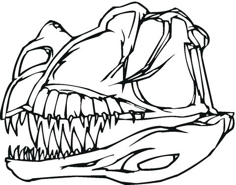 480x376 Dinosaur Skeleton Coloring Pages Dinosaur Bones Coloring