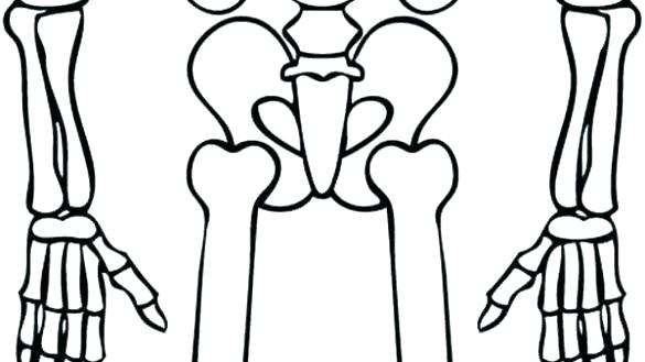 585x329 Skeleton Coloring Es Printable Of Skeletons For Human Pages Kids
