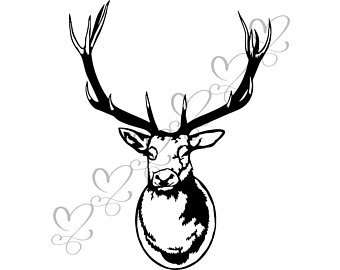 340x270 Animal Skeleton Png Etsy