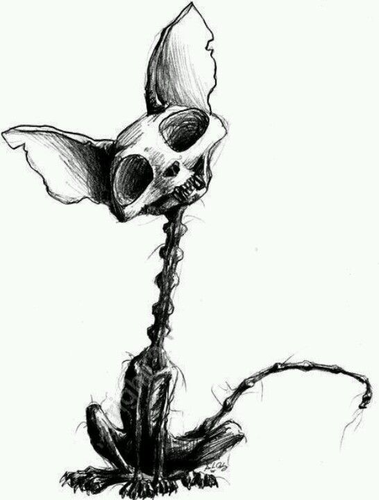 546x720 Dead Kitty Cat Tattoos Creepy Drawings, Art, Art Drawings