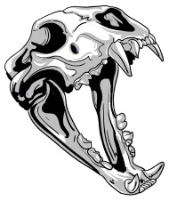 190x226 Halloween Animal Skull Iphone Case Spreadshirt