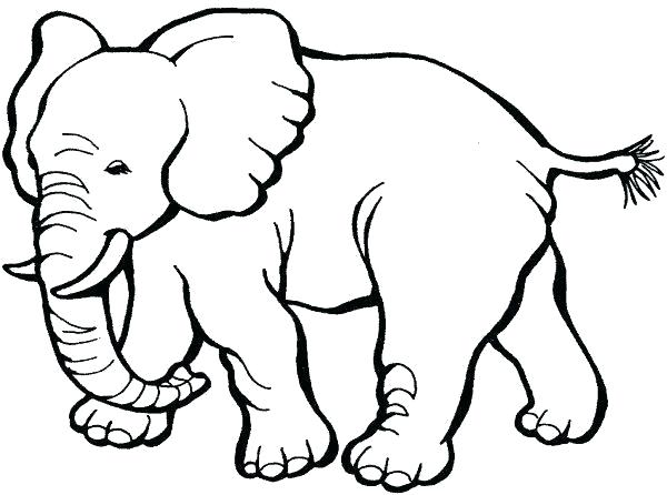 600x446 Animals Drawing For Colouring