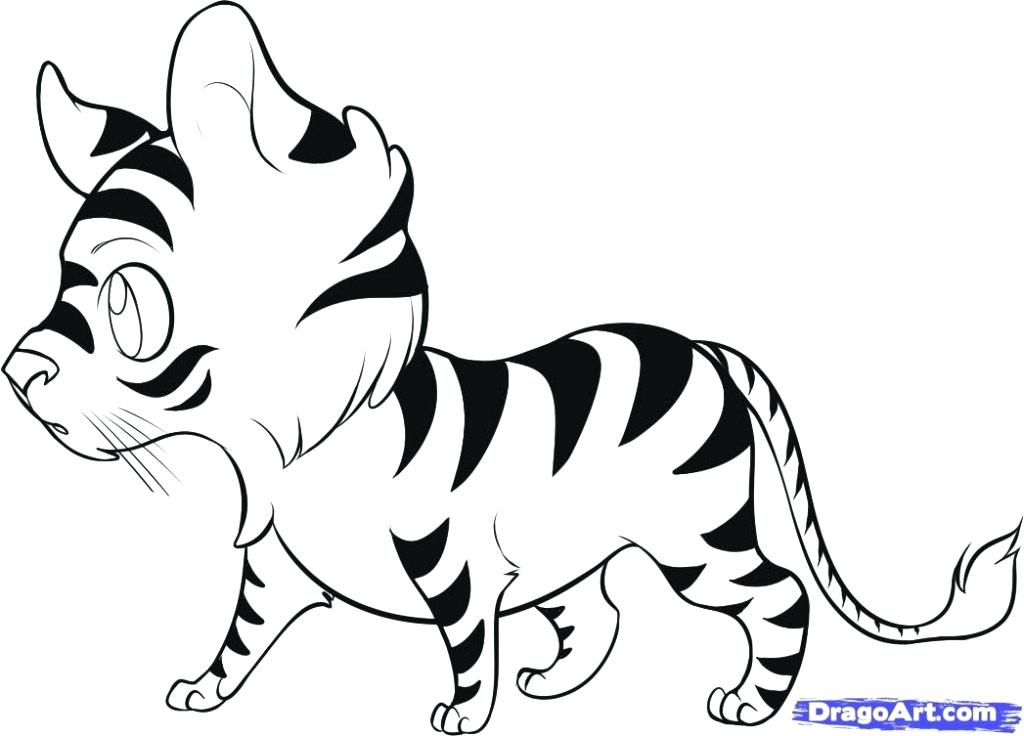 1024x736 Easy Pictures Of Animals To Draw Hoteles