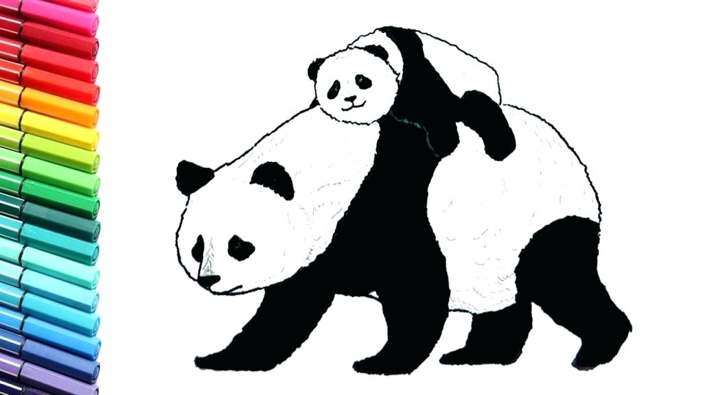 1024x576 Wild Animals To Draw