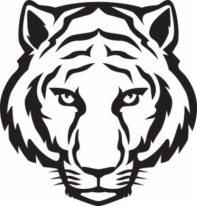 288x300 Awesome Rainforest Animalsing Amazonings Easy Tropical To Animals