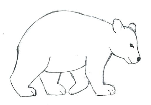 513x359 Wild Animals To Draw