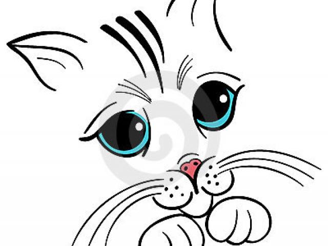 640x480 Cute Cat Face Drawing Free Download Clip Art