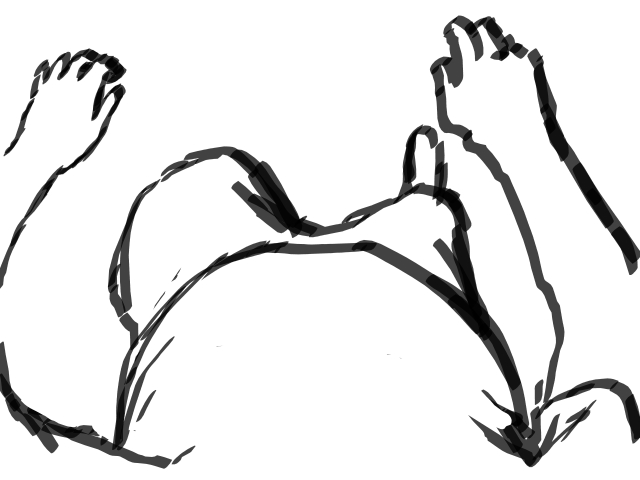 640x480 Drawn Ing Gif