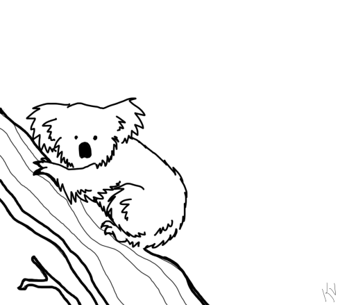 500x439 Gif Art Drawing Koala