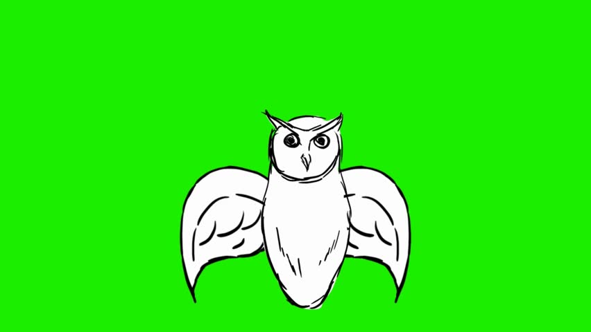 852x480 Pencil Drawing Dove Stock Video Footage