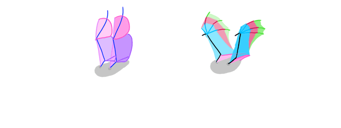 700x263 How To Draw And Animate Wings Birds, Bats, And More