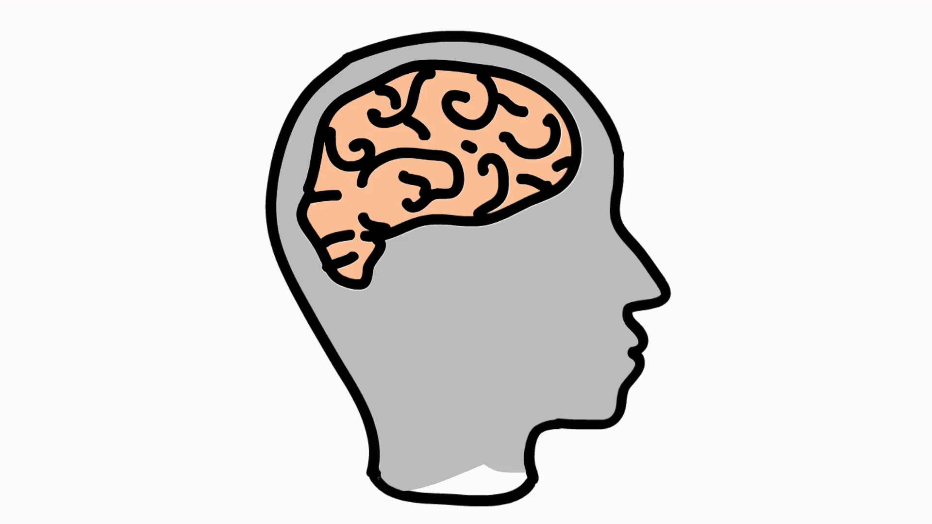 1920x1080 Human Brain Cartoon Illustration Hand Drawn Animation Transparent