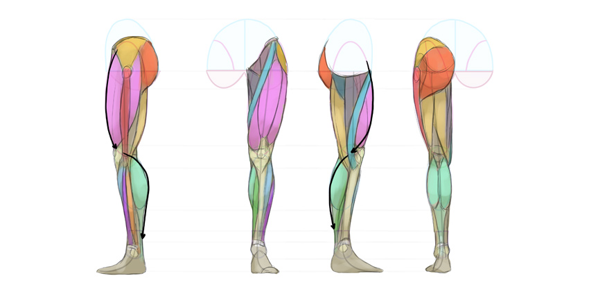 850x411 How To Draw Anime Characters