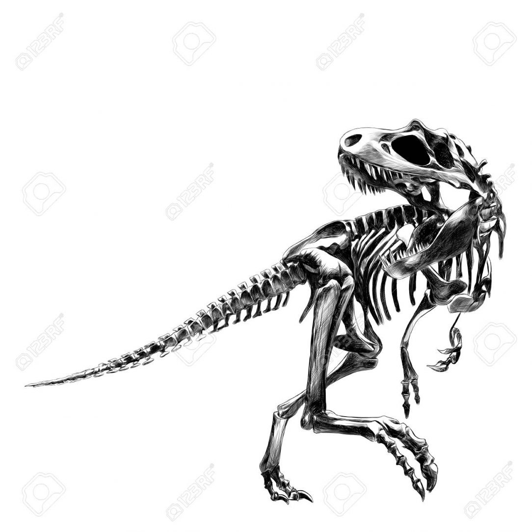 1084x1084 Dinosaur Anime Body Drawing Art To Colour Hard Images