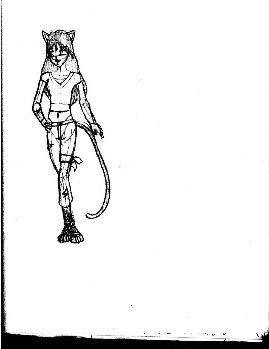 900x1168 Anime Cat Girl