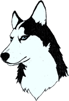 240x350 Doggy Drawing Anime Transparent Png Clipart Free Download