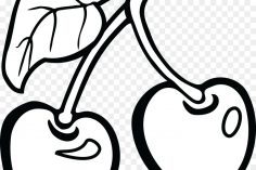 236x157 Cherry Coke Drawing Easy Blossom Anime Graphite Images Outline