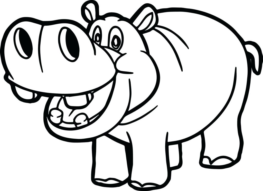 1024x744 Hippo Drawings Hippo Drawing