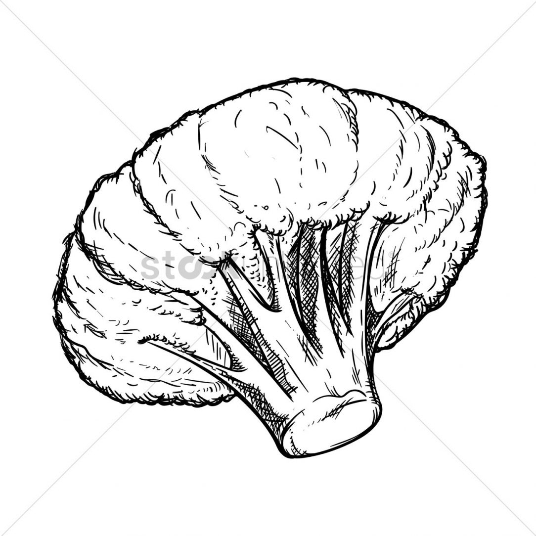 1084x1084 Broccoli Drawing Easy Cute Outline Anime Girl Free Face Carmi