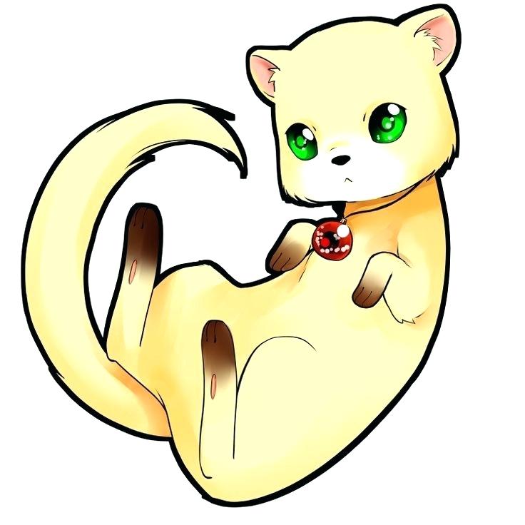 736x736 Ferret Drawings Anime Ferret Black Footed Ferret Drawing Easy