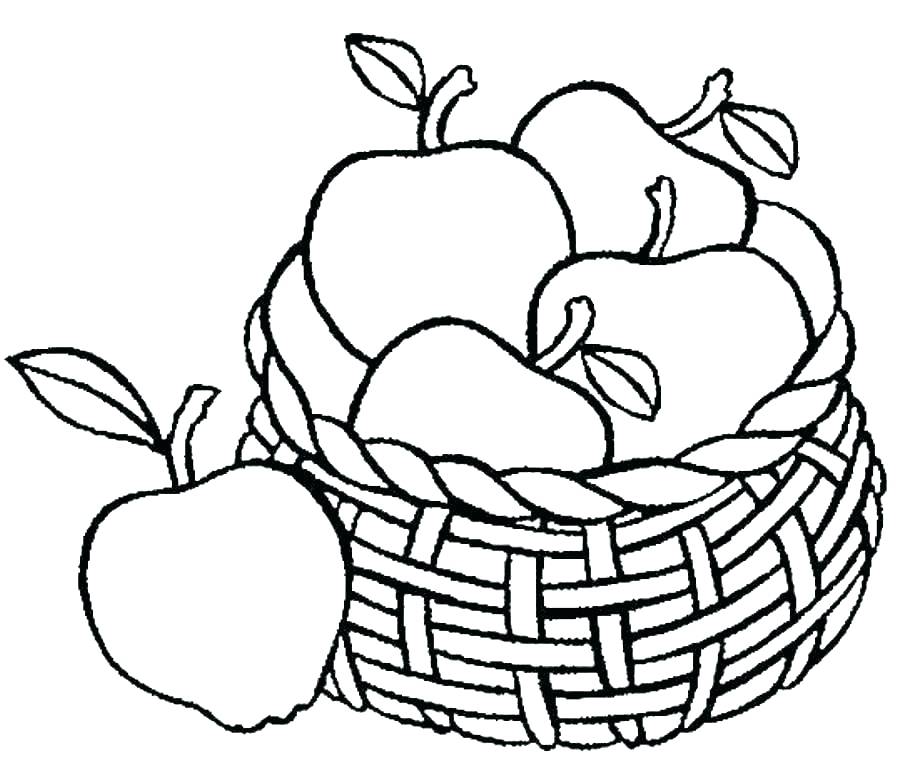 902x770 Fruit Basket Anime Drawings Google Search Fruits Manga Coloring