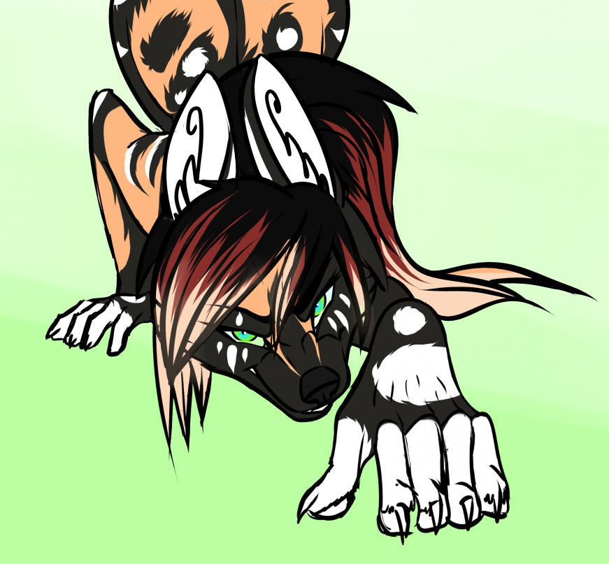 871x807 Zuri Olayinka The Family Series Wiki Fandom Powered