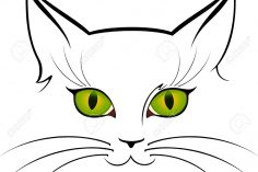 236x157 Cat Eyes And Nose Drawing Makeup Green Cute Coloring Images Simple